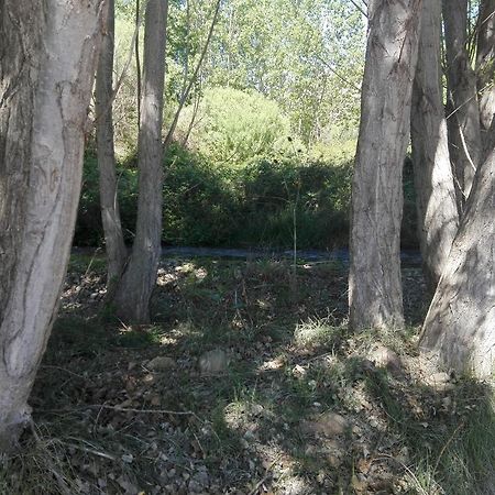 Casa Rural Los Lilos Готор Экстерьер фото