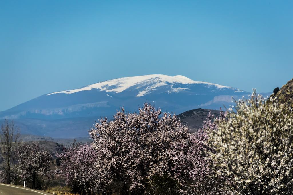 Casa Rural Los Lilos Готор Номер фото
