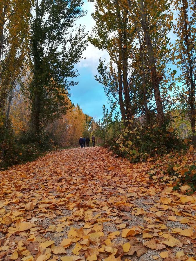 Casa Rural Los Lilos Готор Экстерьер фото
